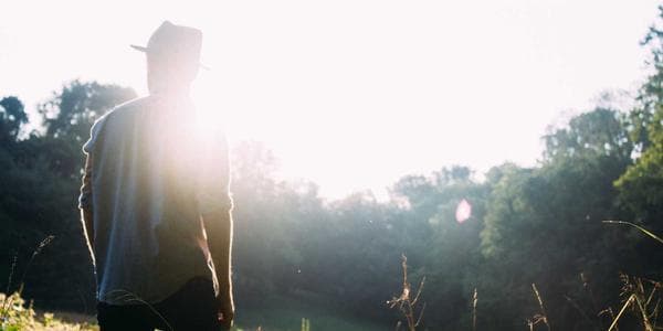 IT Consulting for SMEs: Getting the Most Out of Your Tech Budget