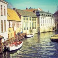 Elizabeth Kalitsiro Mwale